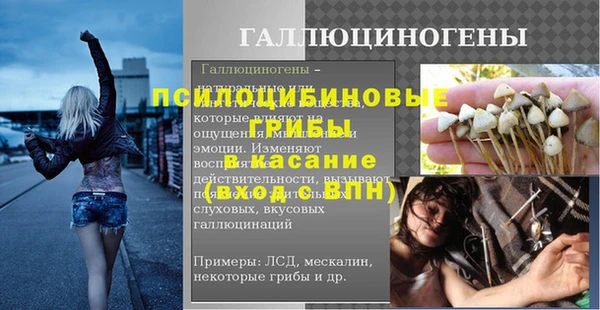 гидропоника Дмитровск